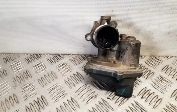 EGR valve