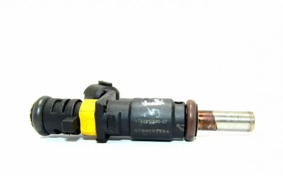 Mini Cooper Countryman R60 Fuel injector B254P02554