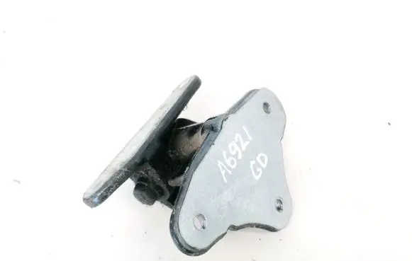 Mercedes-Benz R W251 Rear door lower hinge