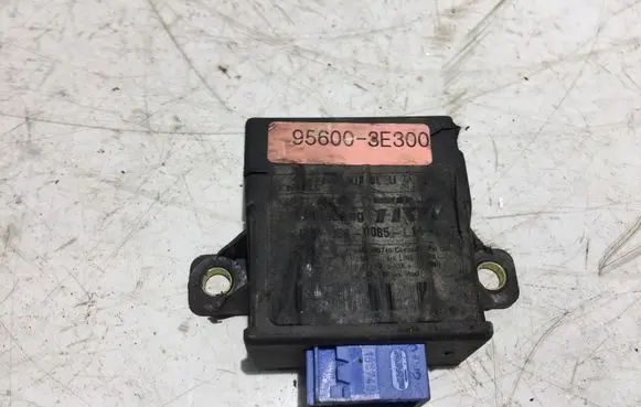 KIA Sorento Other devices 956003E300