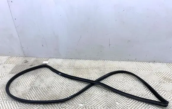 Toyota Corolla E210 E21 Rubber seal front door (on door) 