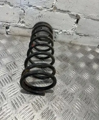 Ford Focus Rear coil spring