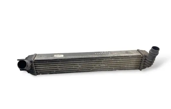 Renault Laguna III Intercooler radiator 144610001N K3280