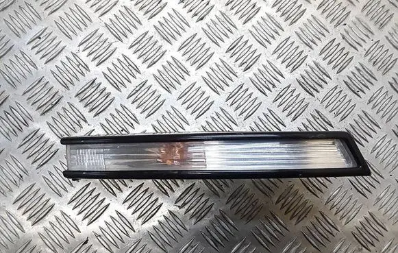 Volkswagen PASSAT B6 Front indicator light 3C0807718C