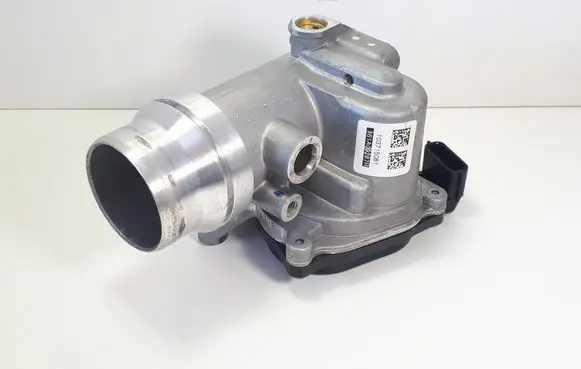 Nissan Qashqai Throttle valve 161A09287R