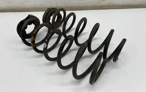 Rear coil spring
