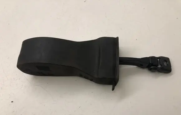 Volkswagen PASSAT B8 Front door check strap stopper 3G0837249A