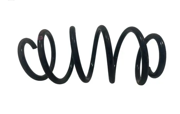 Front coil spring
