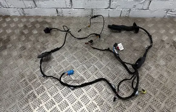 Audi Q5 SQ5 Front door wiring loom 80A971030G
