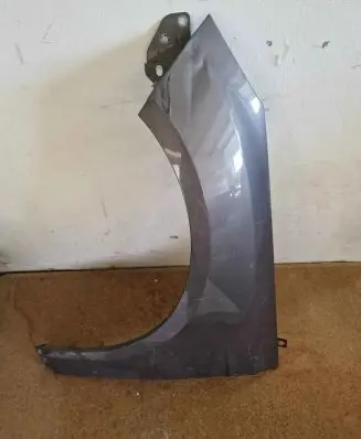 Ford Focus Fender