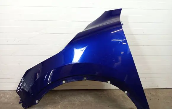 Nissan Qashqai Fender BLOTJ11RBG