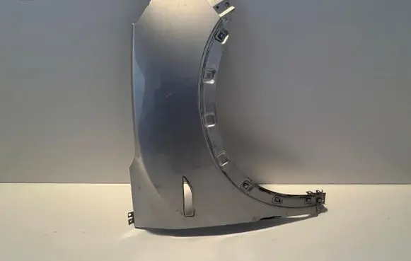 Fender