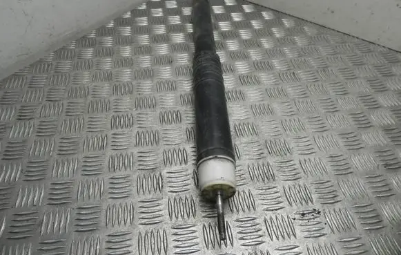 Renault Zoe Front shock absorber/damper 552405569R