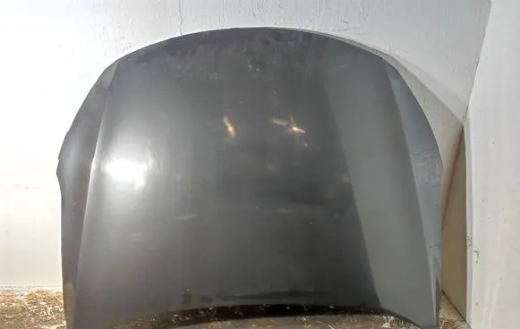 Engine bonnet/hood