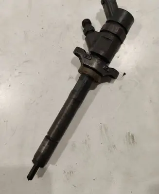 Citroen C5 Fuel injector 0445110259