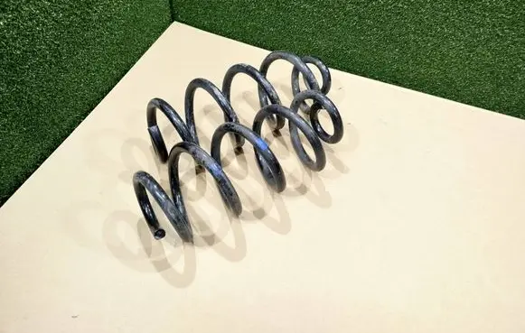 Renault Koleos II Rear coil spring 550209535R