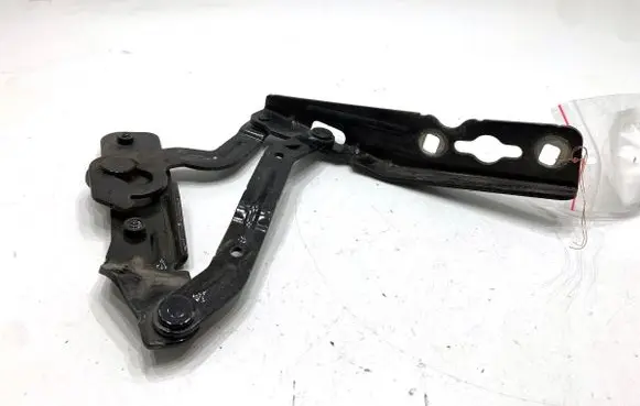 Ford Ecosport Engine bonnet/hood hinges CN1516801CE