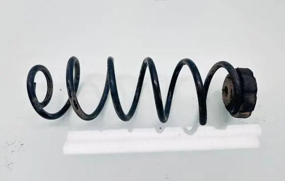 Rear coil spring