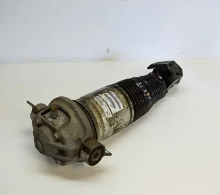 Audi Q7 4L Rear shock absorber/damper 7L8616002