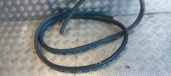 Ford Grand C-MAX Front door rubber seal