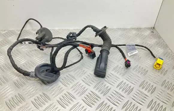 Audi A4 S4 B8 8K Front door wiring loom 8K0971030AP