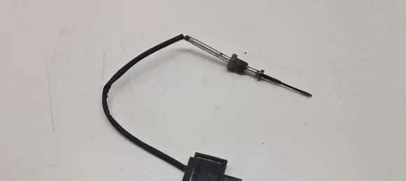 Exhaust gas temperature sensor