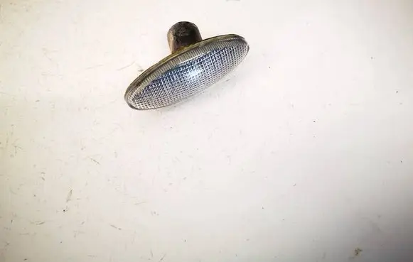 Front fender indicator light