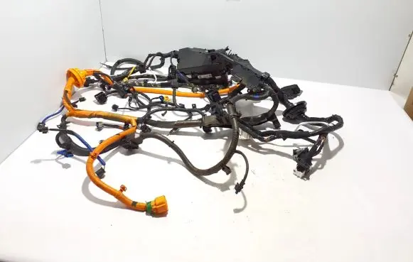 KIA EV6 Other wiring loom 91240-CV250