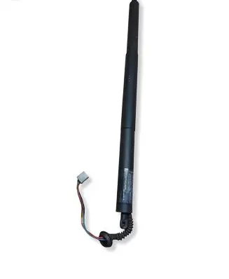 Ford Kuga II Tailgate/trunk strut/damper CV44S402A55AA