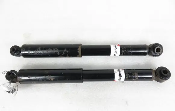 Citroen C2 Rear shock absorber/damper AGC026MT