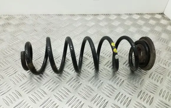 Rear coil spring