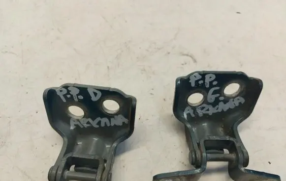 Renault Arkana Front door hinge set RenArkzawiaspp
