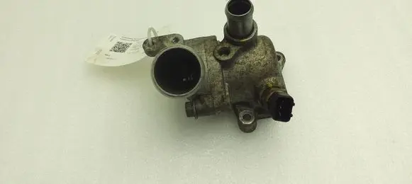 Thermostat/thermostat housing