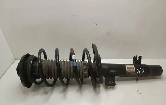 Citroen C4 Cactus Front shock absorber with coil spring 9809713280 22270484 1391414150