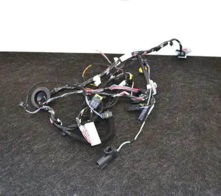 Tesla Model X Other wiring loom