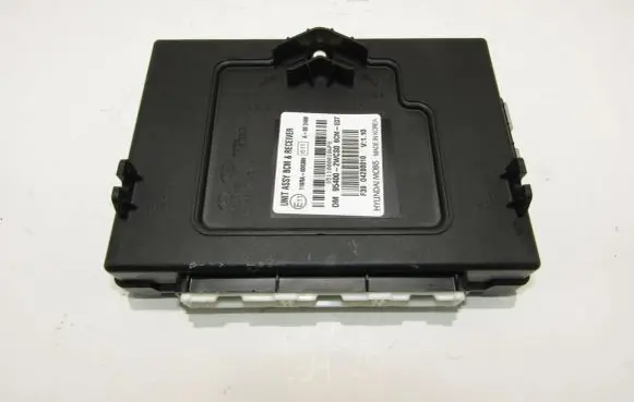 Hyundai Santa Fe Other control units/modules 954002wcs0