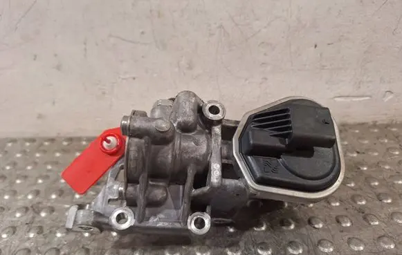 Fiat Panda III EGR valve S25081532 46348062