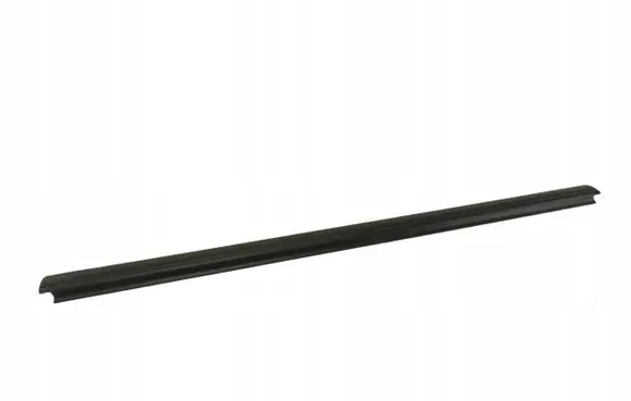Ford Fiesta Front door glass trim molding 1098787