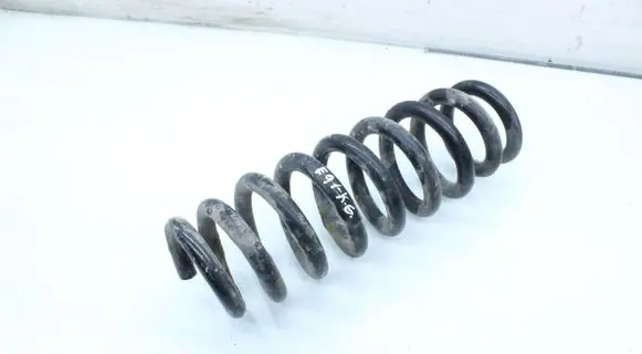 Rear coil spring