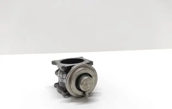 Volkswagen Touareg I EGR valve 07Z131501A 344219020