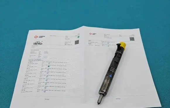 Renault Scenic II - Grand scenic II Fuel injector EJBR02101Z IMPRK1404585