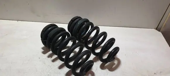 Rear coil spring