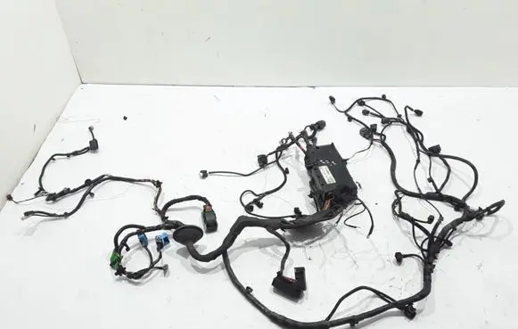 Volvo C30 Other wiring loom 31254581