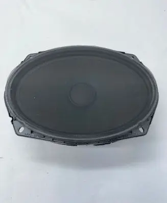 Rear door speaker