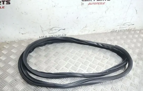 Mitsubishi Lancer VIII Front door rubber seal