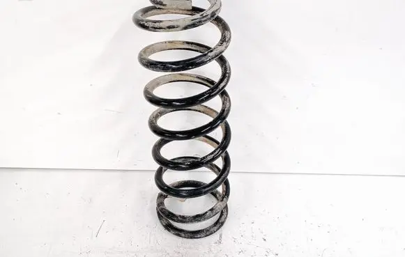 Rear coil spring