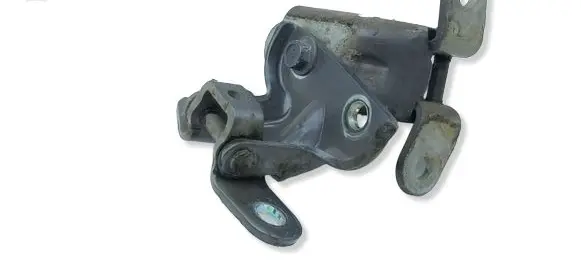 Hyundai Ioniq Rear door hinge set 