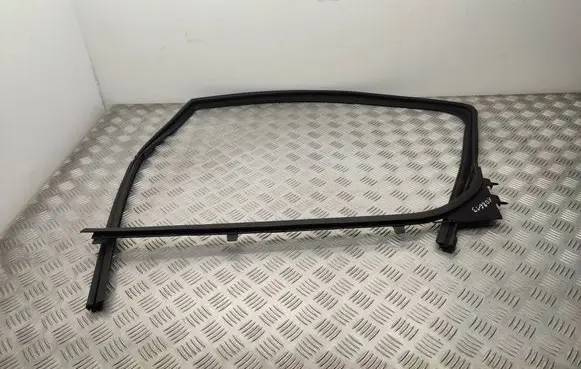 Peugeot Expert Rubber seal front door (on door) 
