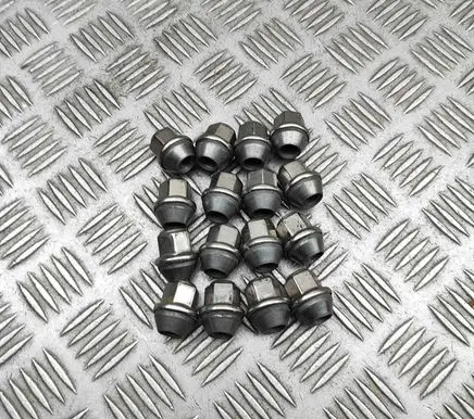 Nuts/bolts