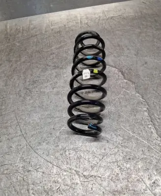Rear coil spring
